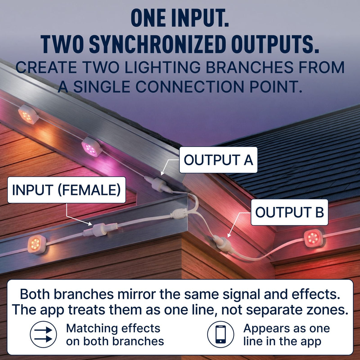 Y-Splitter Pro - one input two synchronized outputs
